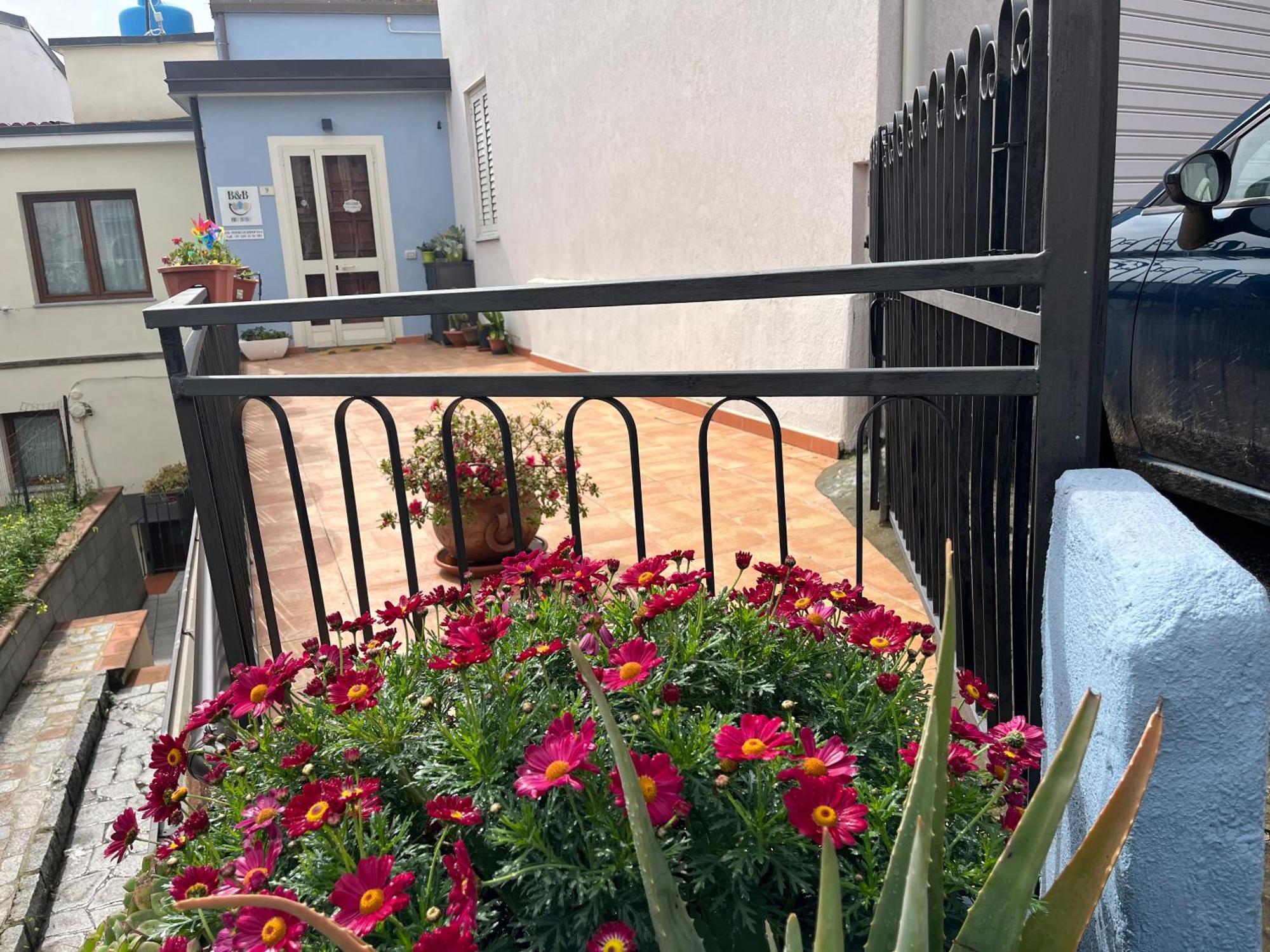 B&B Niu Susu Lanusei Exterior foto